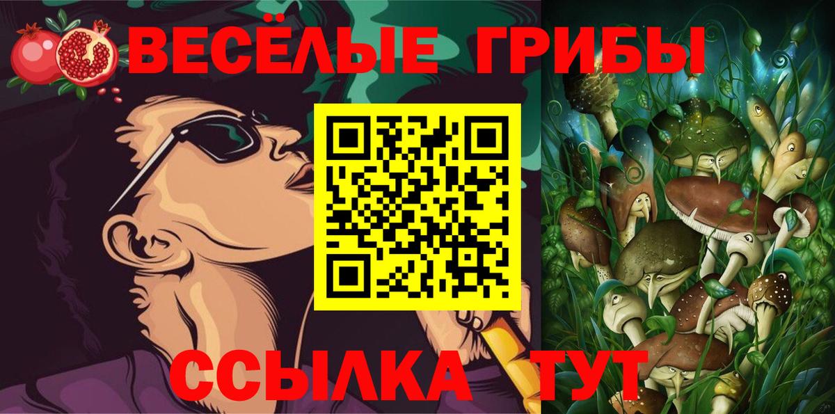 Галлюциногенные грибы Cubensis  Вход с VPN  Галлюциногенные грибы Cubensis  Егорьевск 